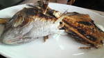 2010051514290000.jpg