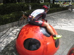 てんとうむし.jpg